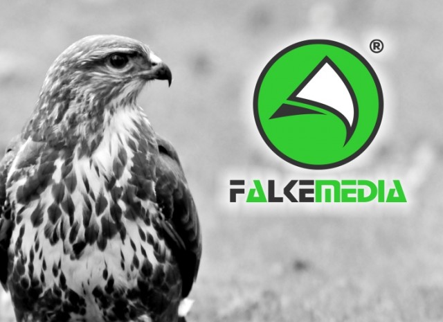 Die Bedeutung des Logos von FALKEmedia