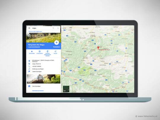 Google Maps zur Unternehmens und Produktsuche