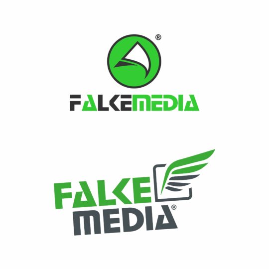 Logoentwicklung von FALKEmedia
