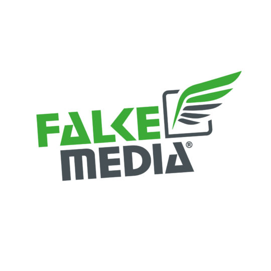 FALKEmediaLogo