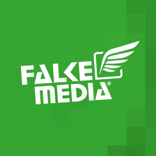 FALKEmedia Logo